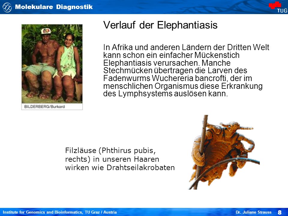 Die allgemeine Analyse des Blutes wenn ist die Parasiten